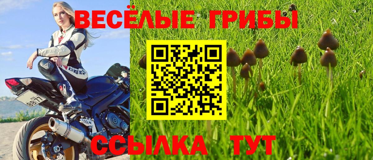 Галлюциногенные грибы мицелий Славгород