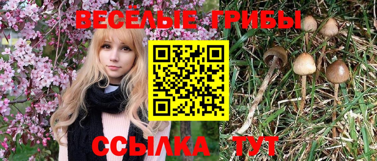 Галлюциногенные грибы ЛСД  Псилоцибиновые грибы ЛСД  Вход с VPN  Славгород 